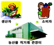 물류센터 유통체계 